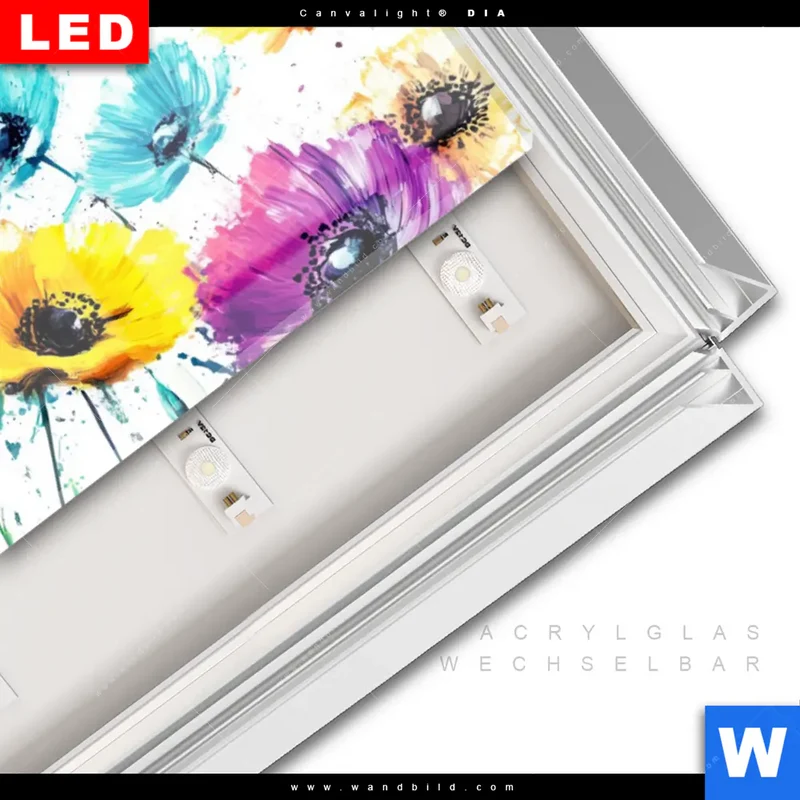 Leuchtbild Acrylglas Canvalight® DIA | Bunte Blütenexplosion | Panorama