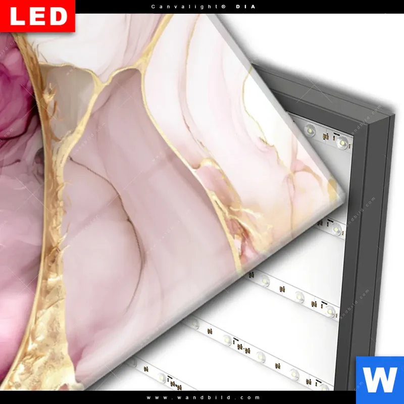 Wechselmotiv Acrylglas Canvalight® DIA | Kiwi - Edle Fruchtfantasie | Schmal