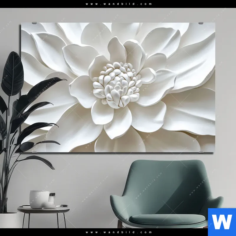 Alu-Dibond Bild | Weiße Blüte | Querformat