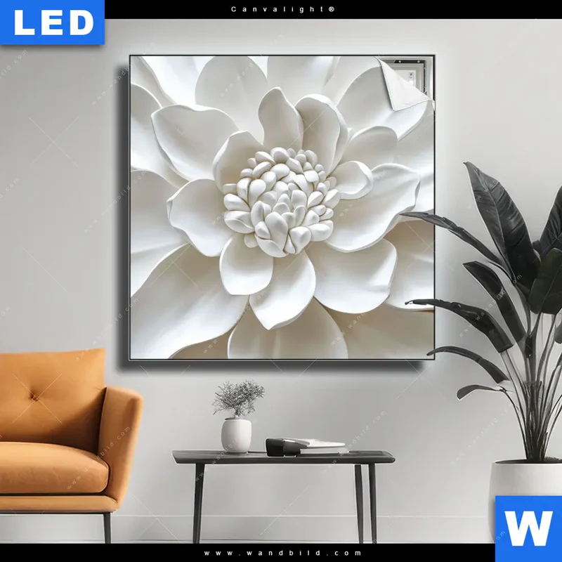 Canvalight® Leuchtbild | Weiße Blüte | Quadrat