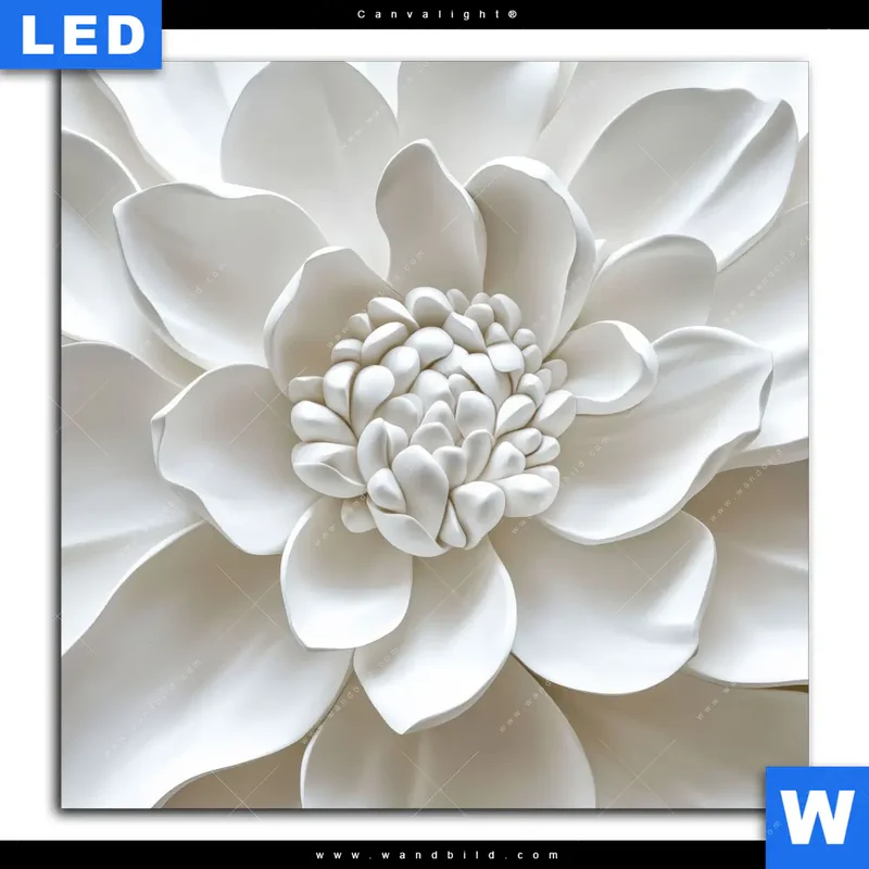 Canvalight® Leuchtbild | Weiße Blüte | Quadrat