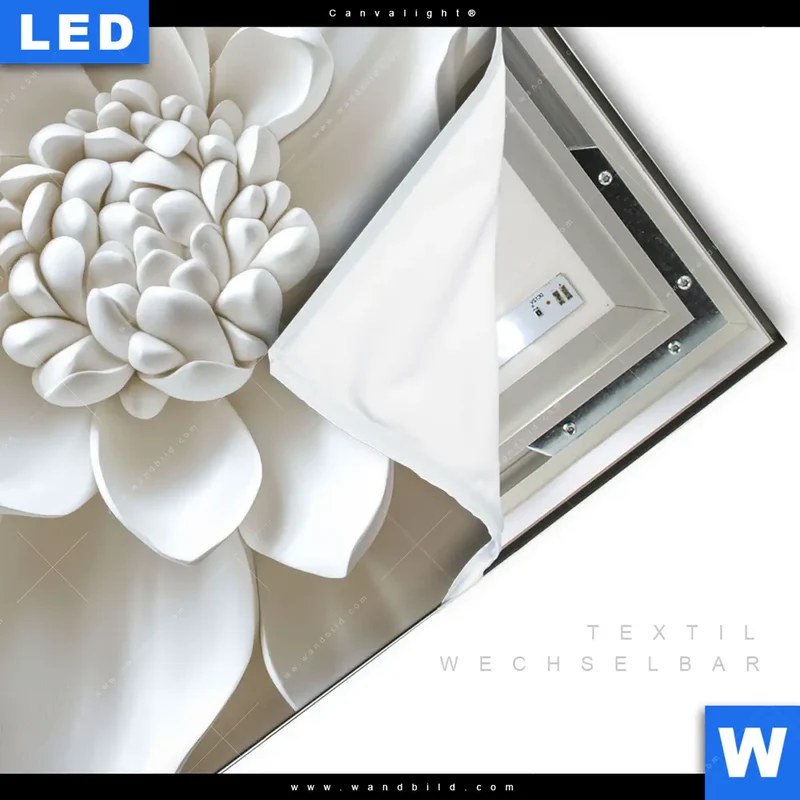 Canvalight® Leuchtbild | Weiße Blüte | Quadrat