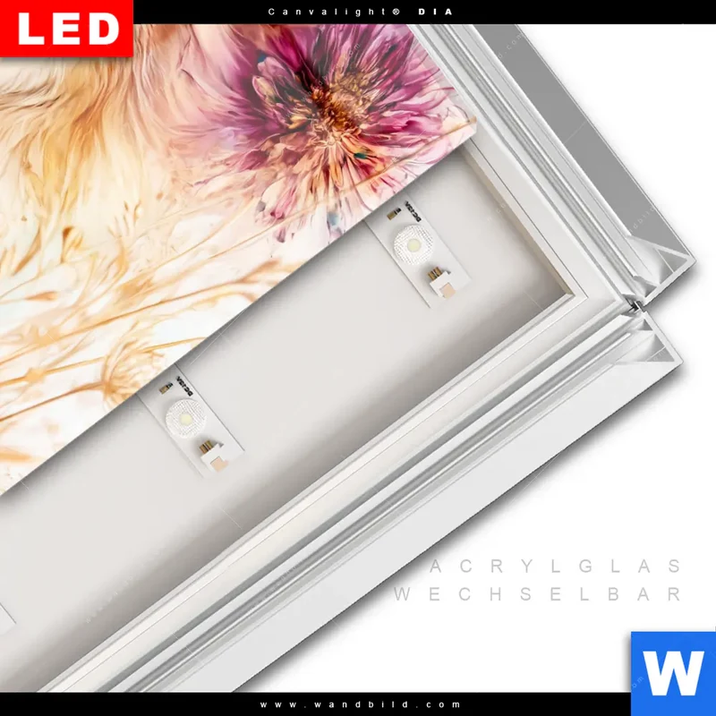 Leuchtbild Acrylglas Canvalight® DIA | Florale Stärke – Der Löwe | Quadrat