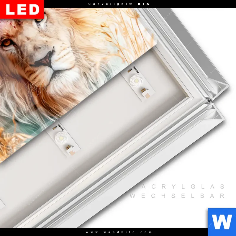 Leuchtbild Acrylglas Canvalight® DIA | Florale Stärke – Der Löwe | Querformat
