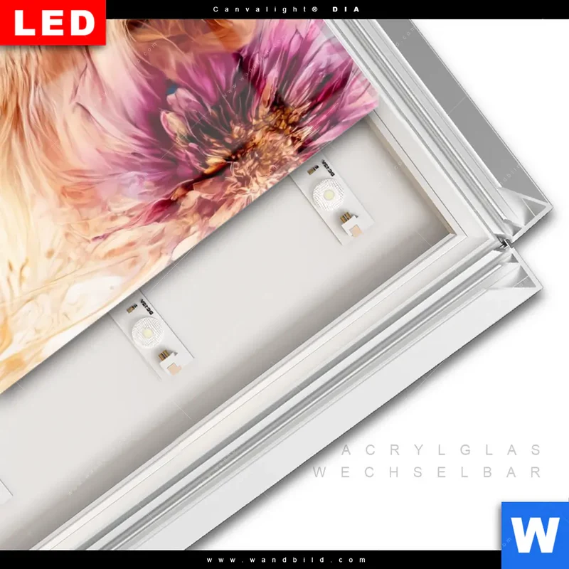 Leuchtbild Acrylglas Canvalight® DIA | Florale Stärke – Der Löwe | Hochformat