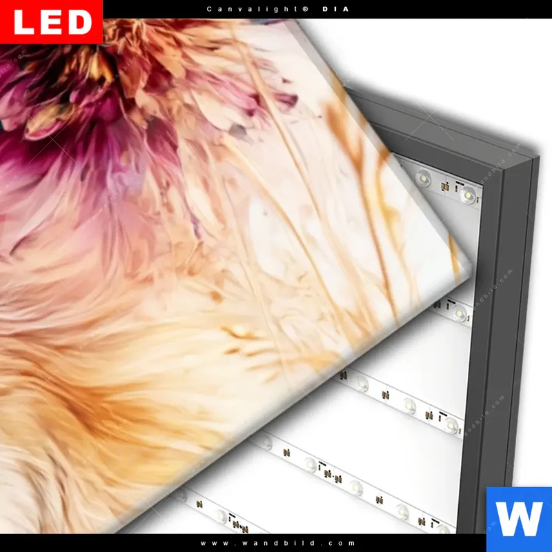 Wechselmotiv Acrylglas Canvalight® DIA | Florale Stärke – Der Löwe | Panorama