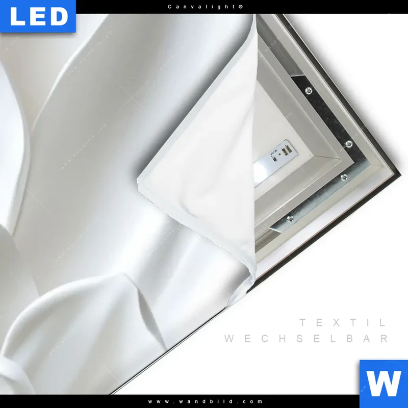 Canvalight® Leuchtbild | Weiße Blüte | Schmal
