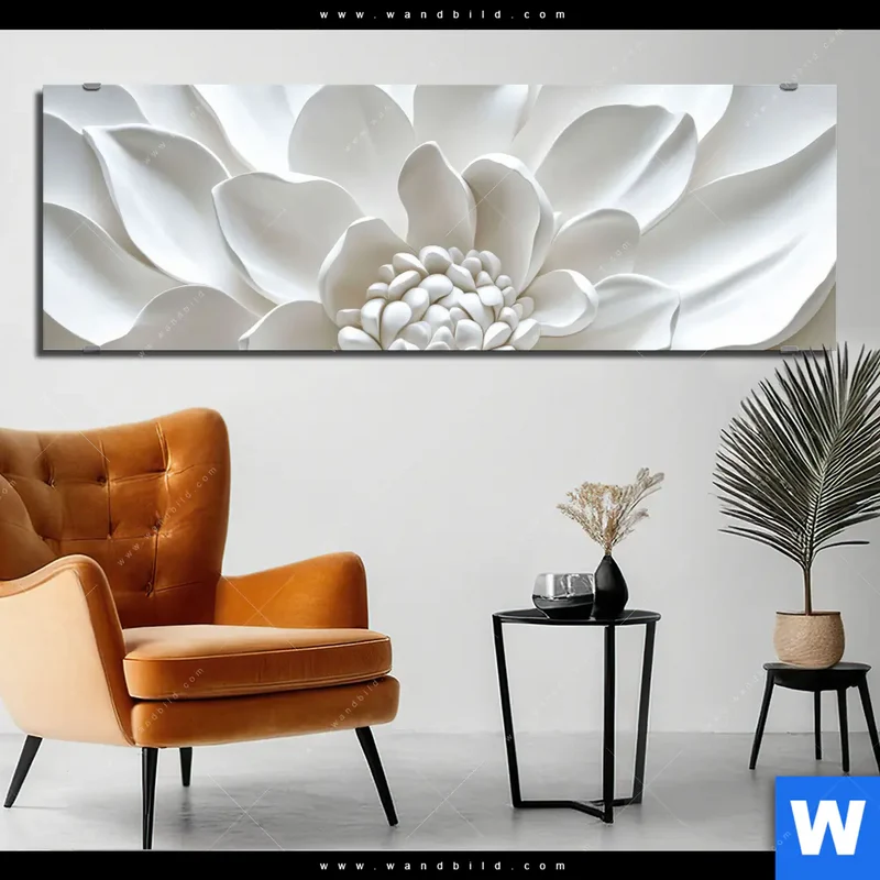 Alu-Dibond Bild | Weiße Blüte | Panorama