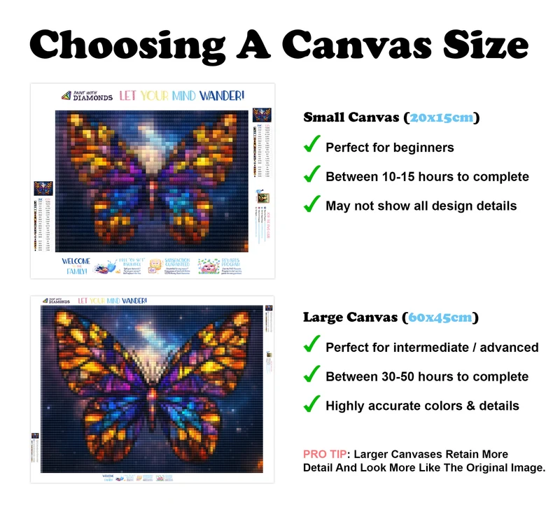 The Galactic Butterfly