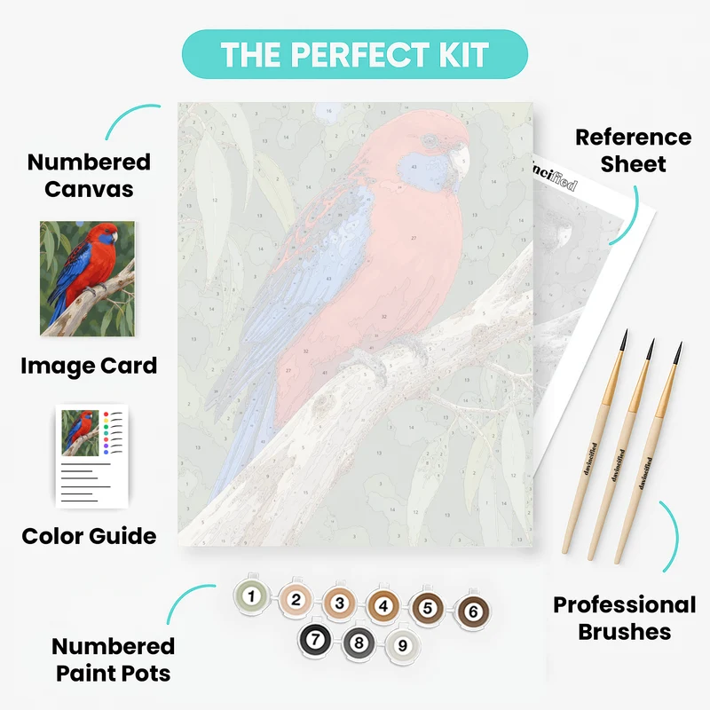 Crimson Rosella Perch - Paint by Numbers Kit