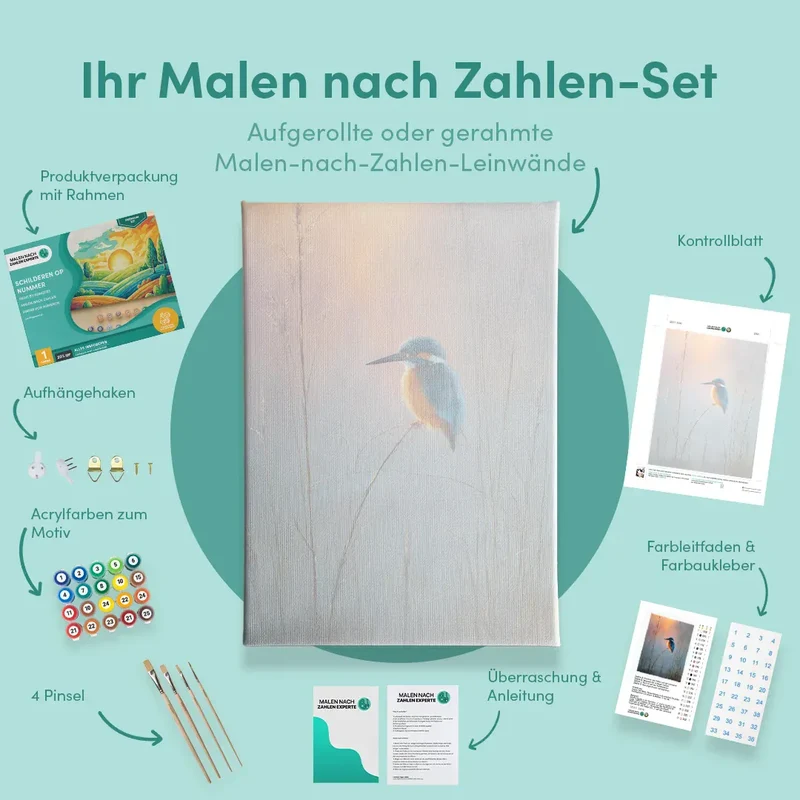 Malen nach Zahlen Eisvogel bei Sonnenaufgang