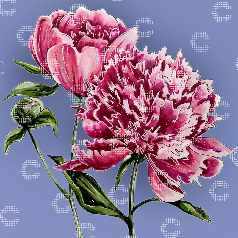 Diamond Painting - Yvonne Phillips - Peonies