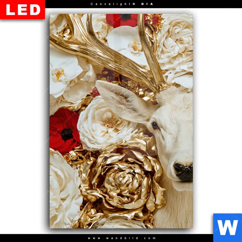 Wechselmotiv Acrylglas Canvalight® DIA | Weißer Hirsch zwischen Rosen | Hochformat