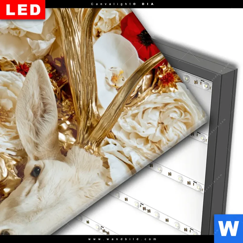 Wechselmotiv Acrylglas Canvalight® DIA | Weißer Hirsch zwischen Rosen | Hochformat