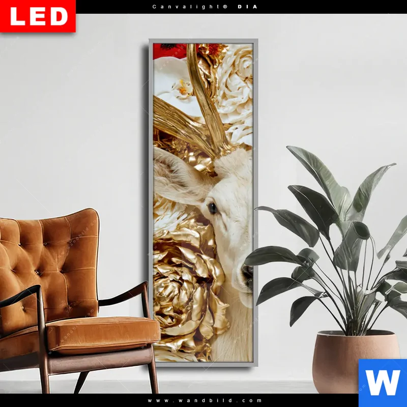 Wechselmotiv Acrylglas Canvalight® DIA | Weißer Hirsch zwischen Rosen | Schmal