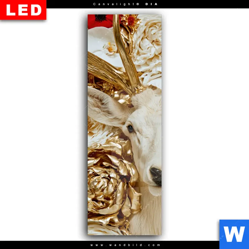 Wechselmotiv Acrylglas Canvalight® DIA | Weißer Hirsch zwischen Rosen | Schmal