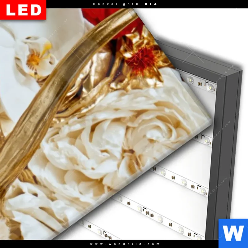 Wechselmotiv Acrylglas Canvalight® DIA | Weißer Hirsch zwischen Rosen | Schmal