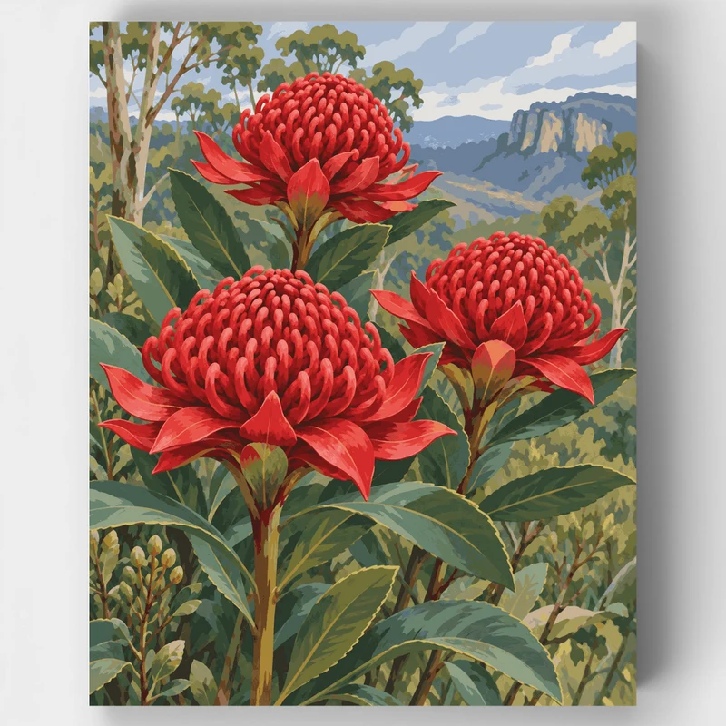 Scarlet Waratah Trio - Paint by Numbers Kit