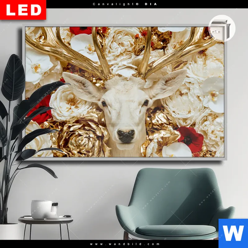 Leuchtbild Acrylglas Canvalight® DIA | Weißer Hirsch zwischen Rosen | Querformat