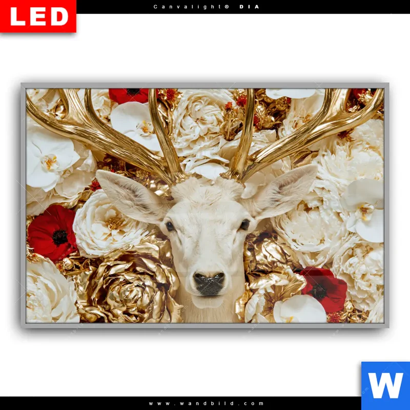 Leuchtbild Acrylglas Canvalight® DIA | Weißer Hirsch zwischen Rosen | Querformat