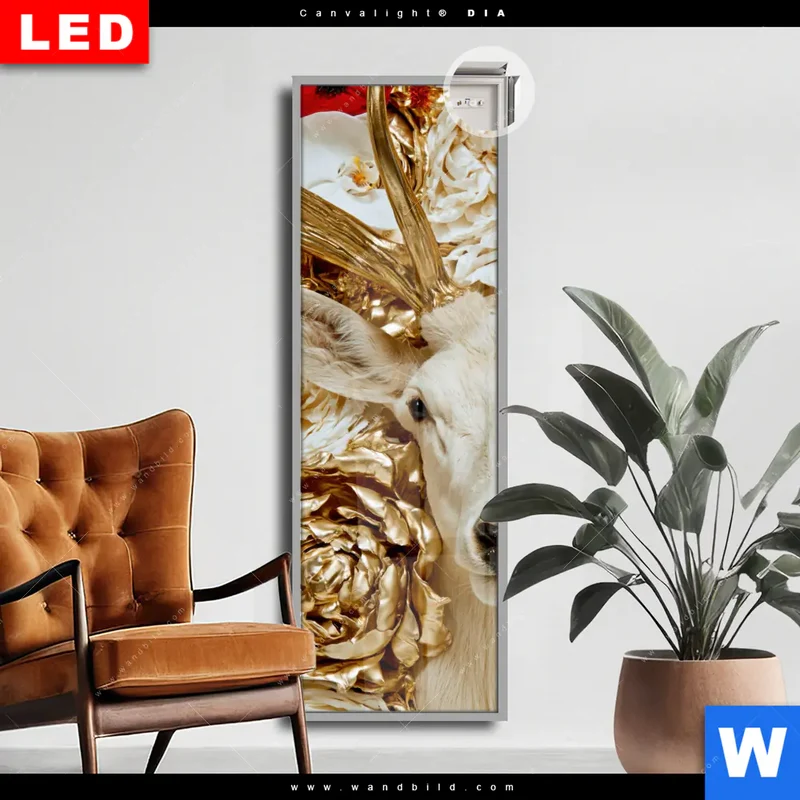Leuchtbild Acrylglas Canvalight® DIA | Weißer Hirsch zwischen Rosen | Schmal