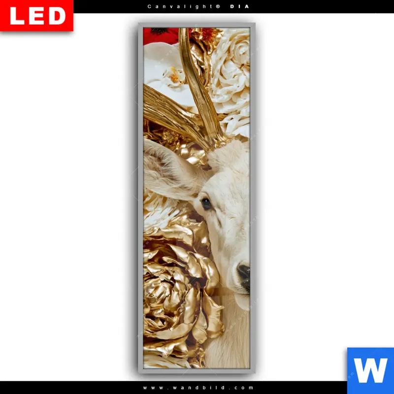 Leuchtbild Acrylglas Canvalight® DIA | Weißer Hirsch zwischen Rosen | Schmal