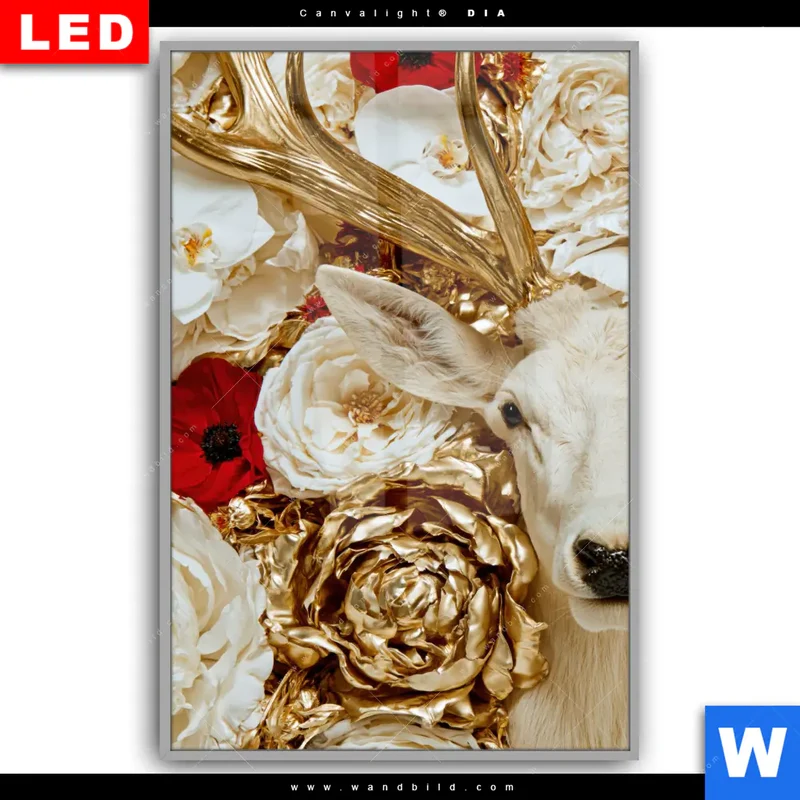 Leuchtbild Acrylglas Canvalight® DIA | Weißer Hirsch zwischen Rosen | Hochformat