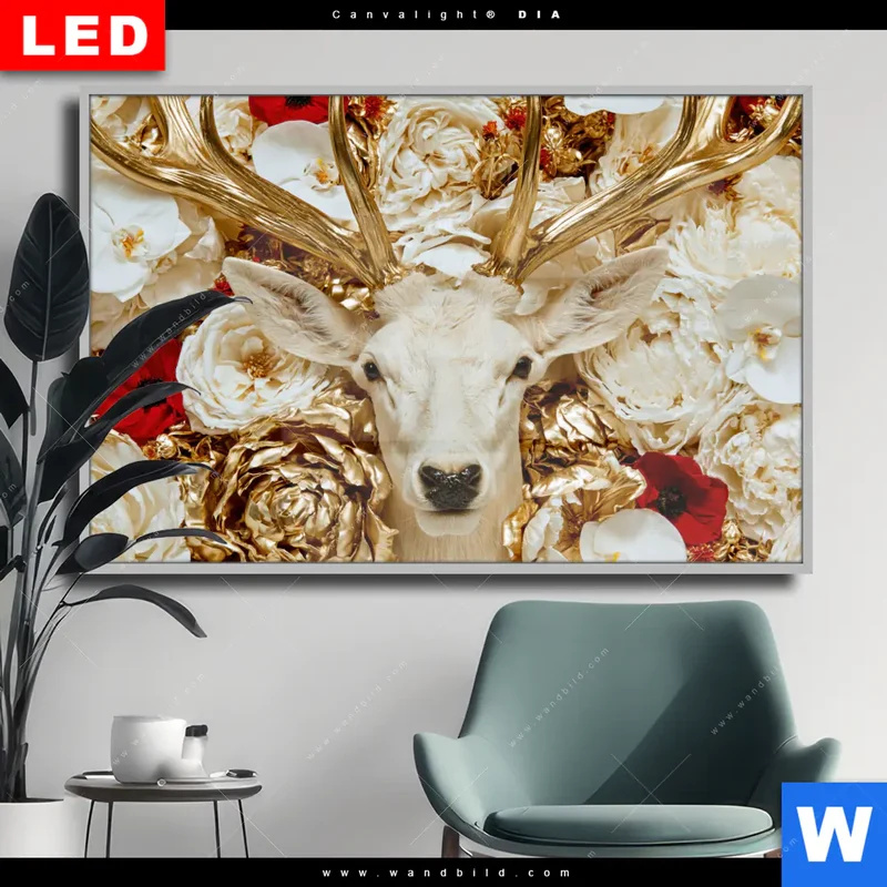 Wechselmotiv Acrylglas Canvalight® DIA | Weißer Hirsch zwischen Rosen | Querformat