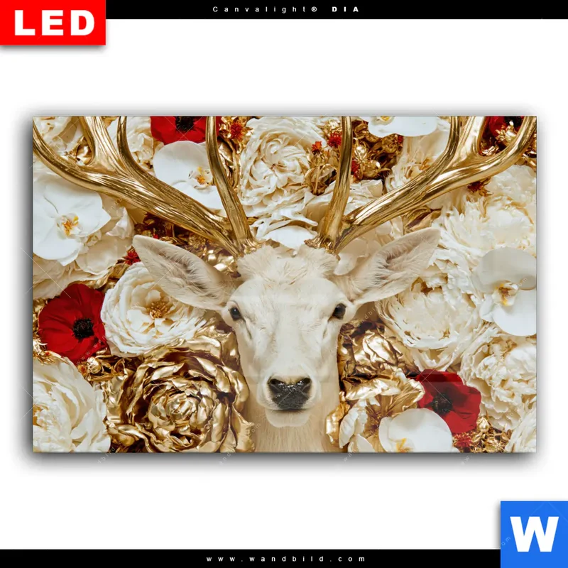 Wechselmotiv Acrylglas Canvalight® DIA | Weißer Hirsch zwischen Rosen | Querformat