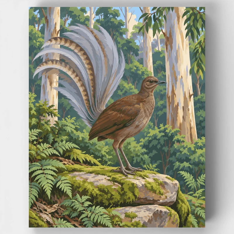 Lyrebird's Silver Fantail - Paint by Numbers Kit