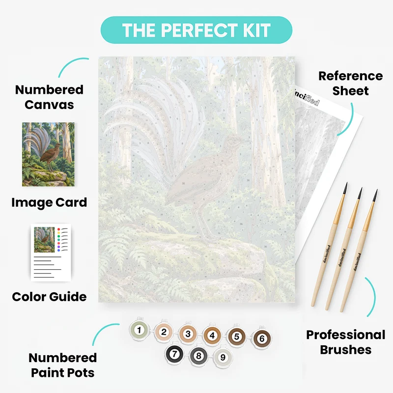Lyrebird's Silver Fantail - Paint by Numbers Kit