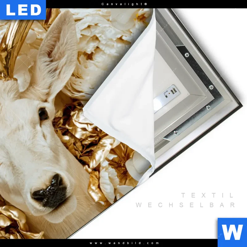 Canvalight® Leuchtbild | Weißer Hirsch zwischen Rosen | Querformat