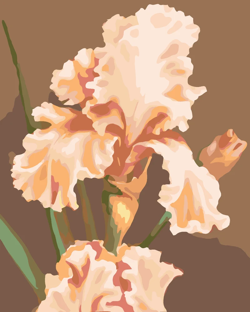 Diamond painting - ROSA IRIS (MYROSLAVA VOLOSCHUK)