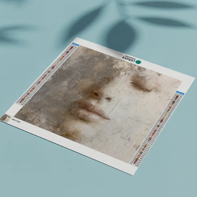 Diamond Painting Verblasste Erinnerungen (gesehen bei vt wonen)