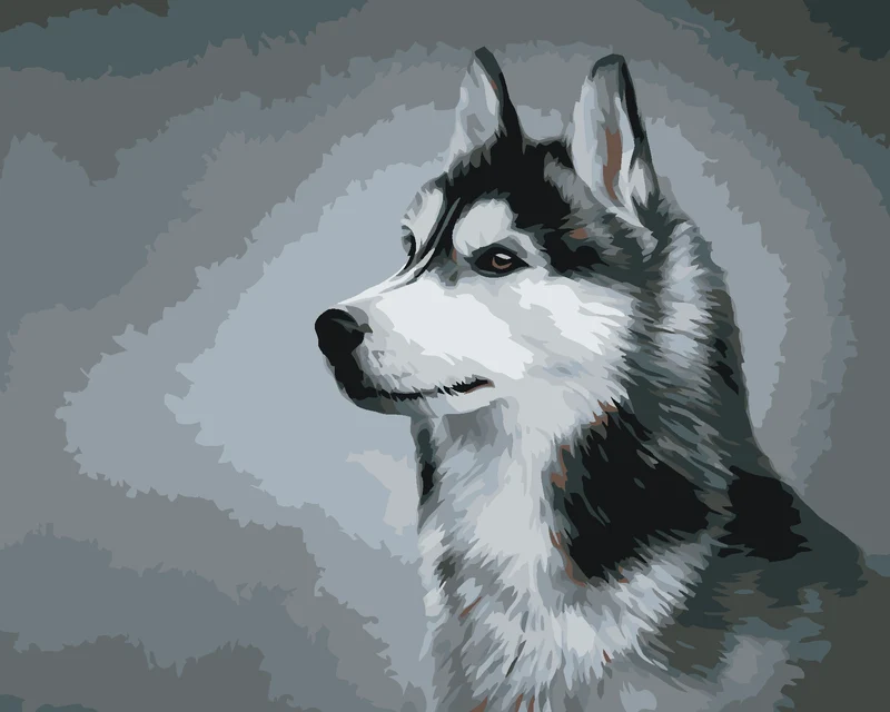 Diamond painting - SIBERIAN HUSKY