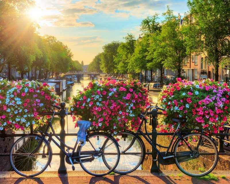 Malen nach Zahlen Amsterdam und Blumen