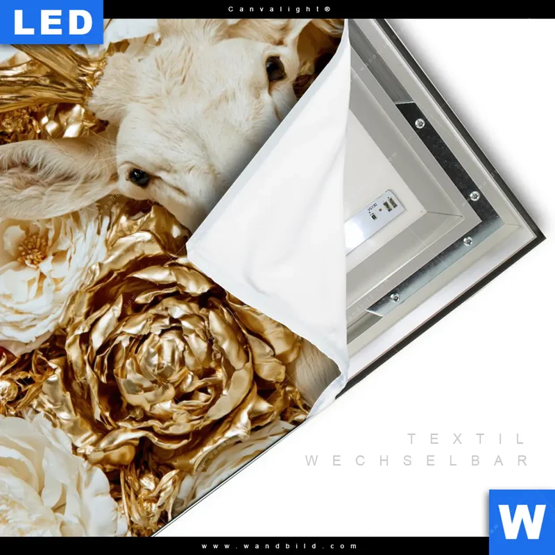 Canvalight® Leuchtbild | Weißer Hirsch zwischen Rosen | Quadrat