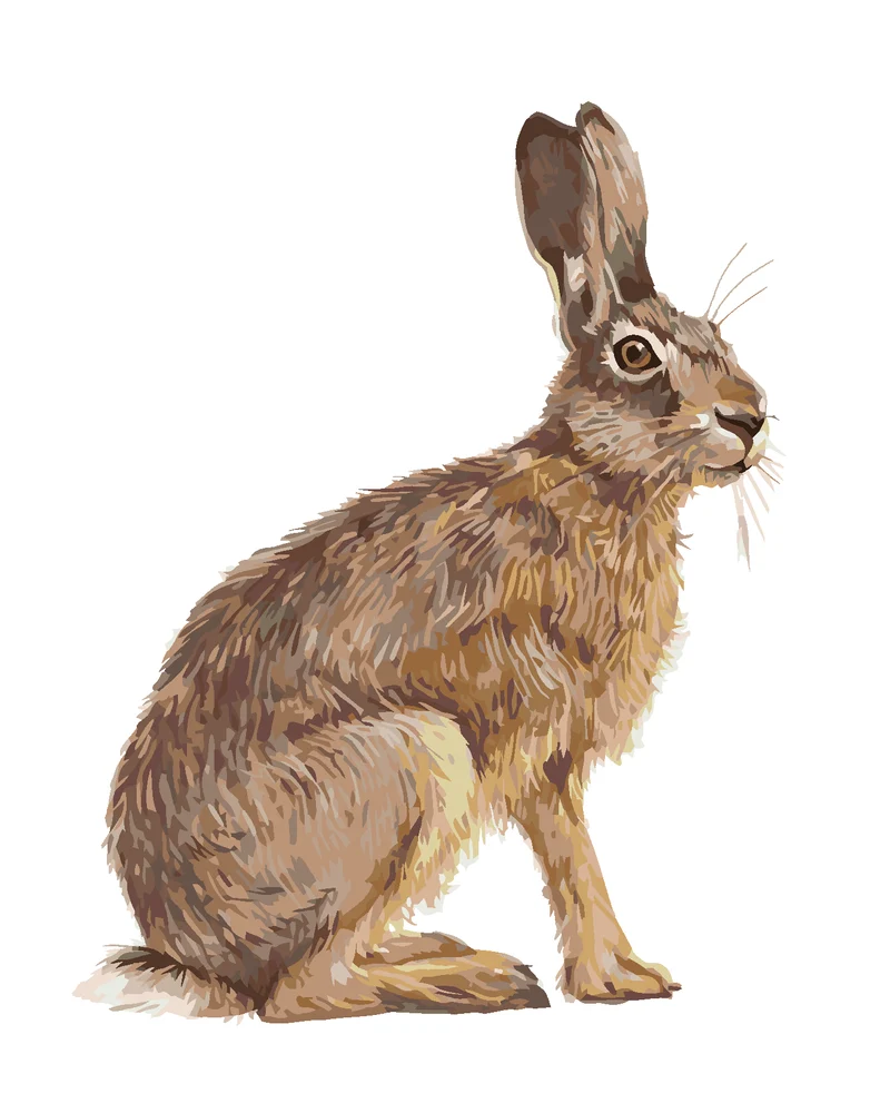 Diamond painting - SITZENDER HASE