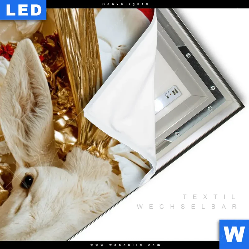 Canvalight® Leuchtbild | Weißer Hirsch zwischen Rosen | Hochformat