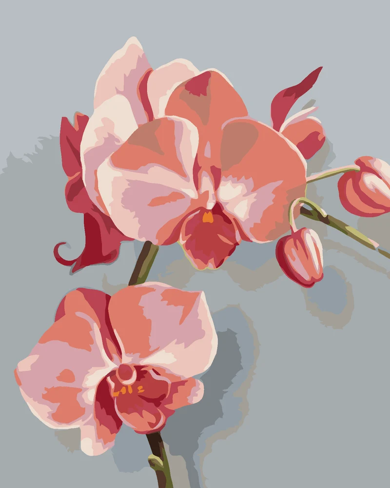 Diamond painting - ROSA ORCHIDEE (MYROSLAVA VOLOSCHUK)