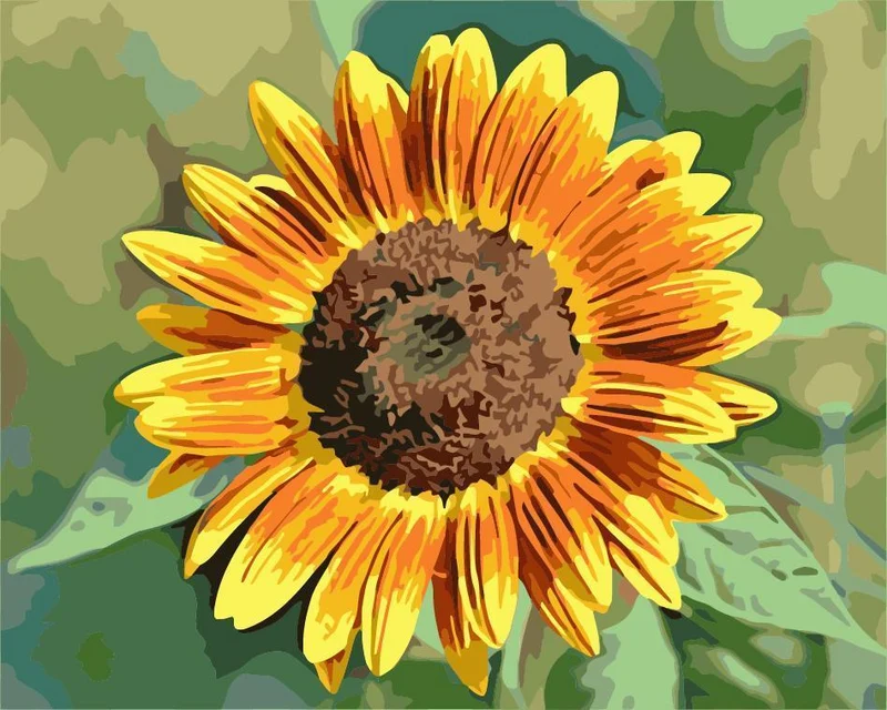 Malen nach Zahlen Sonnenblume Gelb Orange