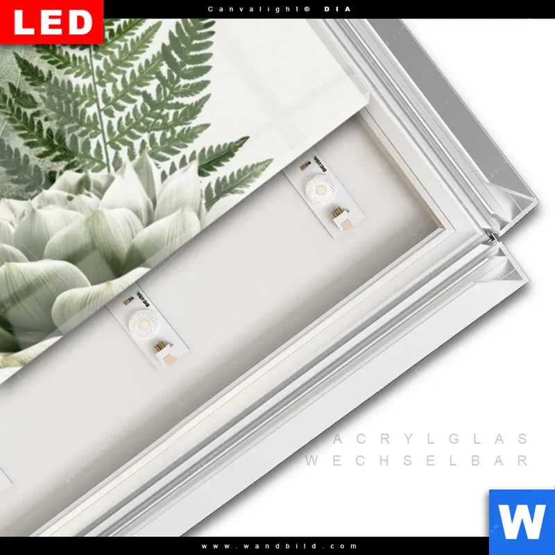 Leuchtbild Acrylglas Canvalight® DIA | Buddha zwischen Lotusblüten | Panorama