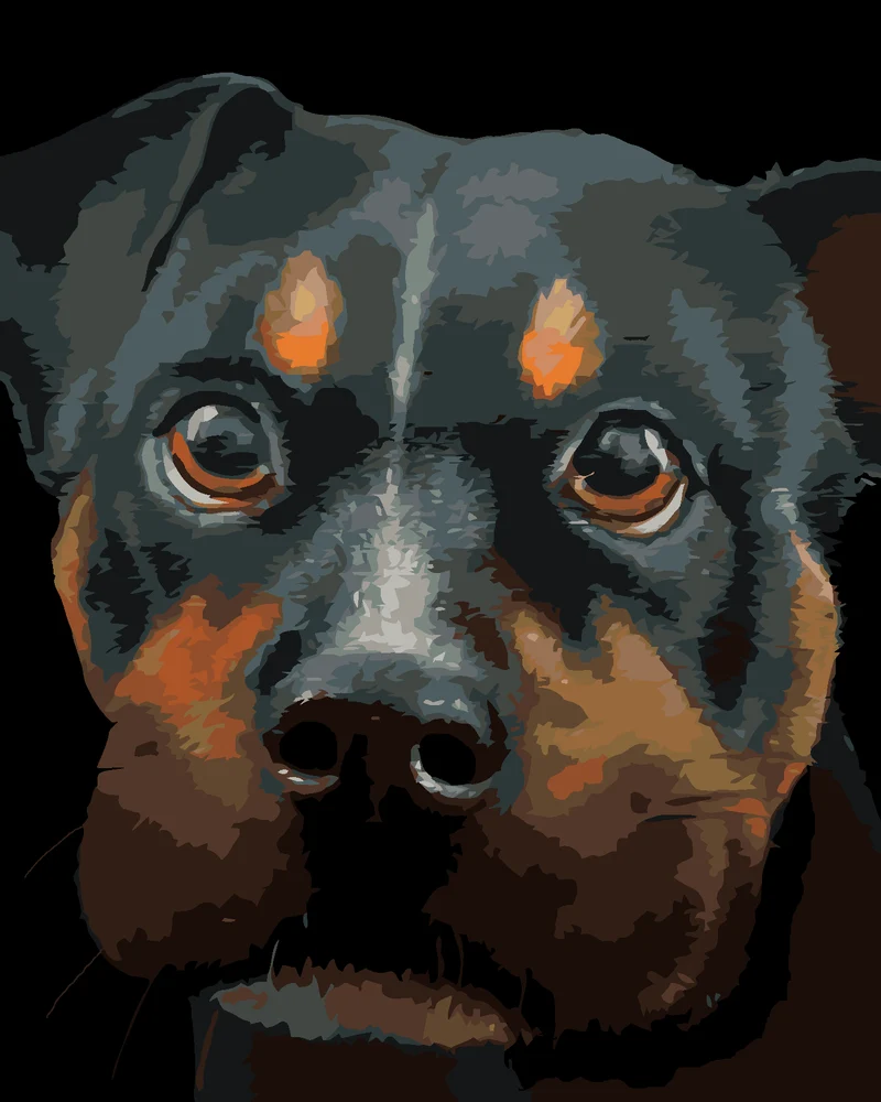 Diamond painting - ROTTWEILER (MYROSLAVA VOLOSCHUK)