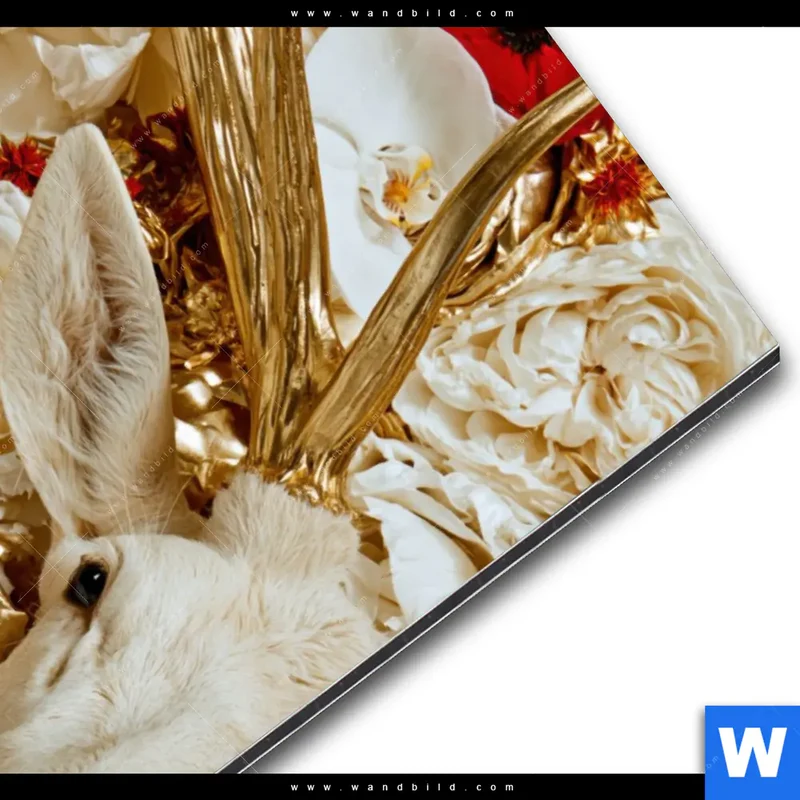 Alu-Dibond Bild | Weißer Hirsch zwischen Rosen | Hochformat