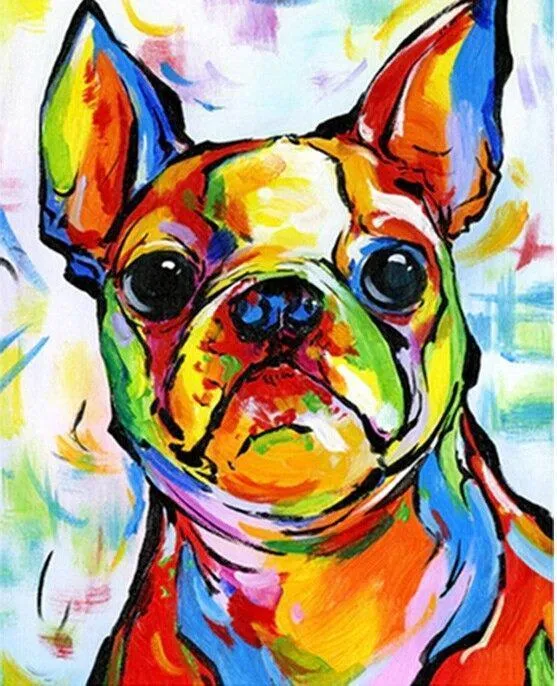 Malen nach Zahlen Bulldog Fröhliche Farben