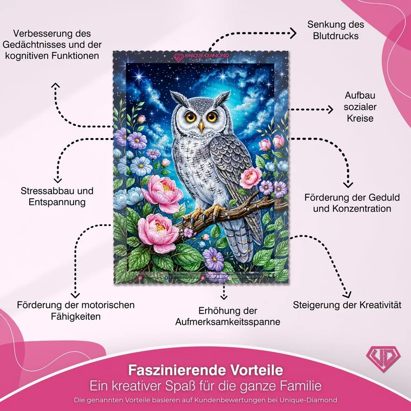 5D Diamond Painting – Eule unter dem Sternenhimmel