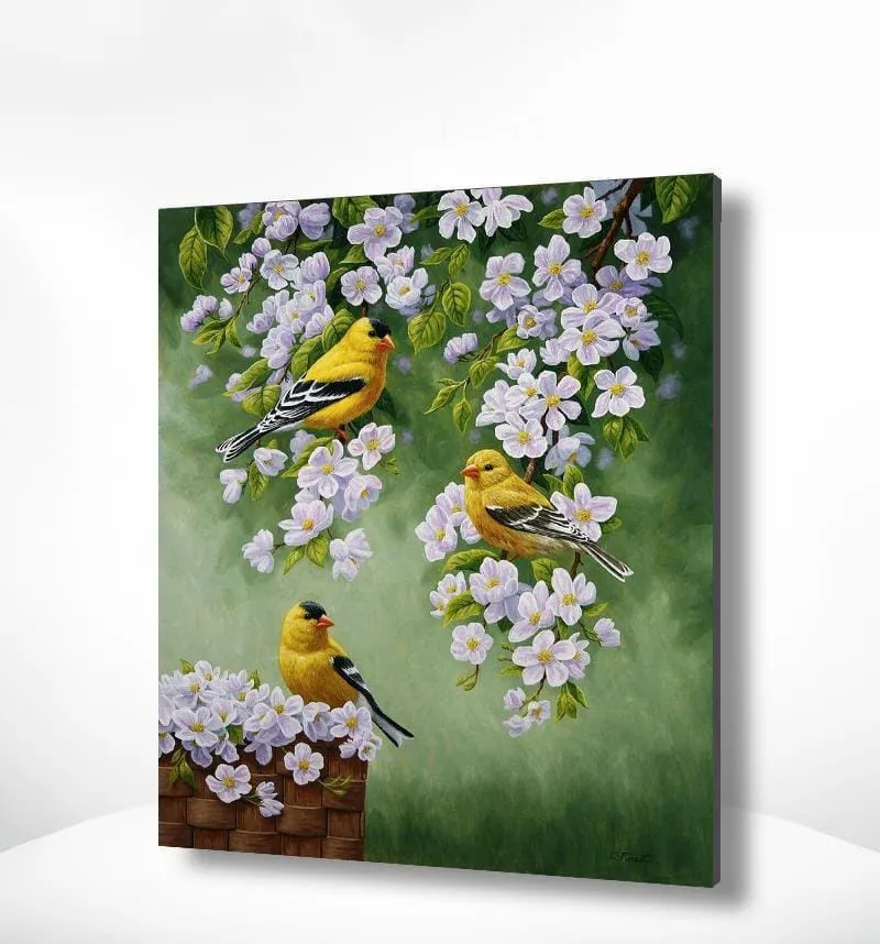 Malen nach Zahlen Gelbe Vögel mit weißen Blumen