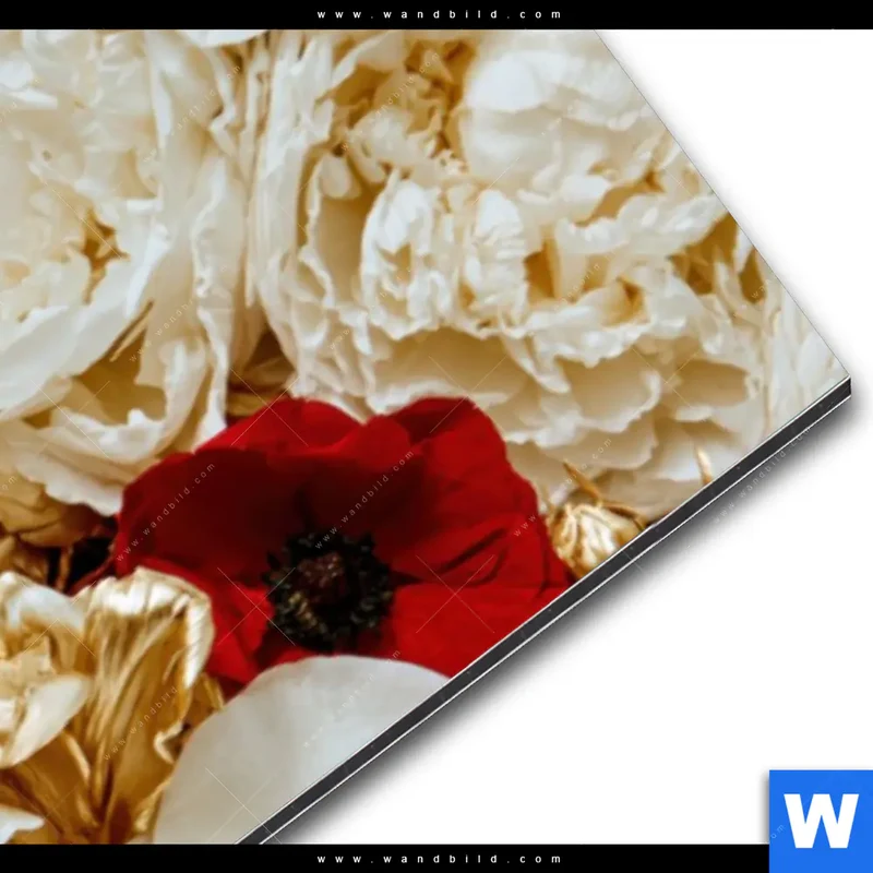 Alu-Dibond Bild | Weißer Hirsch zwischen Rosen | Panorama
