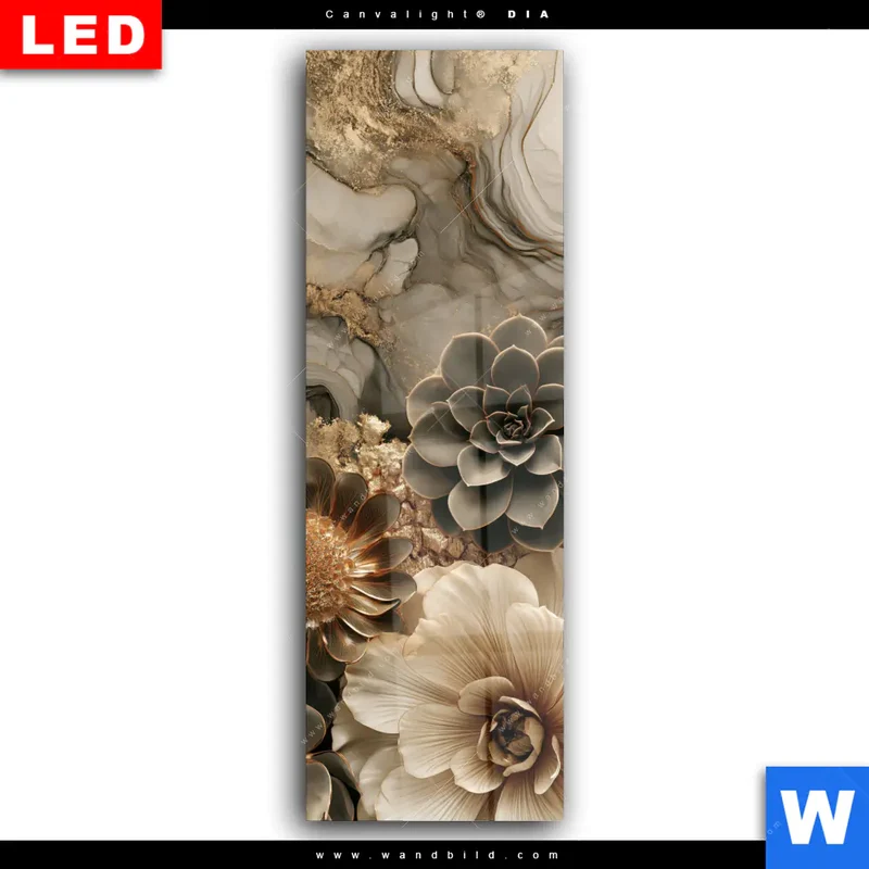 Wechselmotiv Acrylglas Canvalight® DIA | Sukkulenten auf Marmor | Schmal
