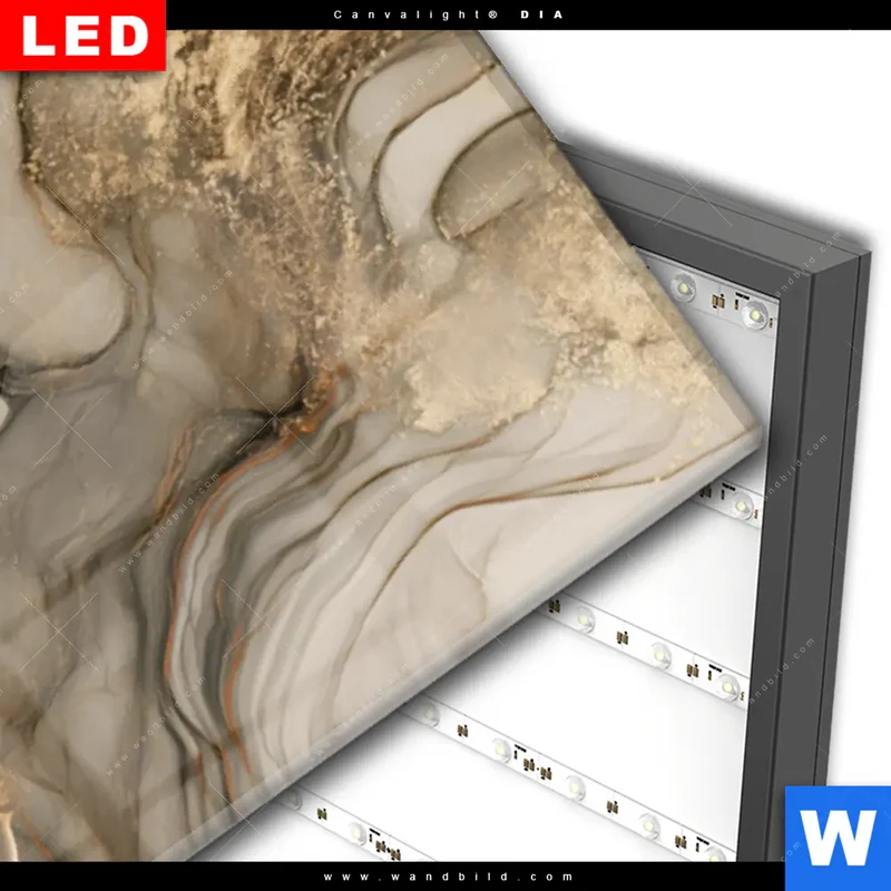 Wechselmotiv Acrylglas Canvalight® DIA | Sukkulenten auf Marmor | Schmal